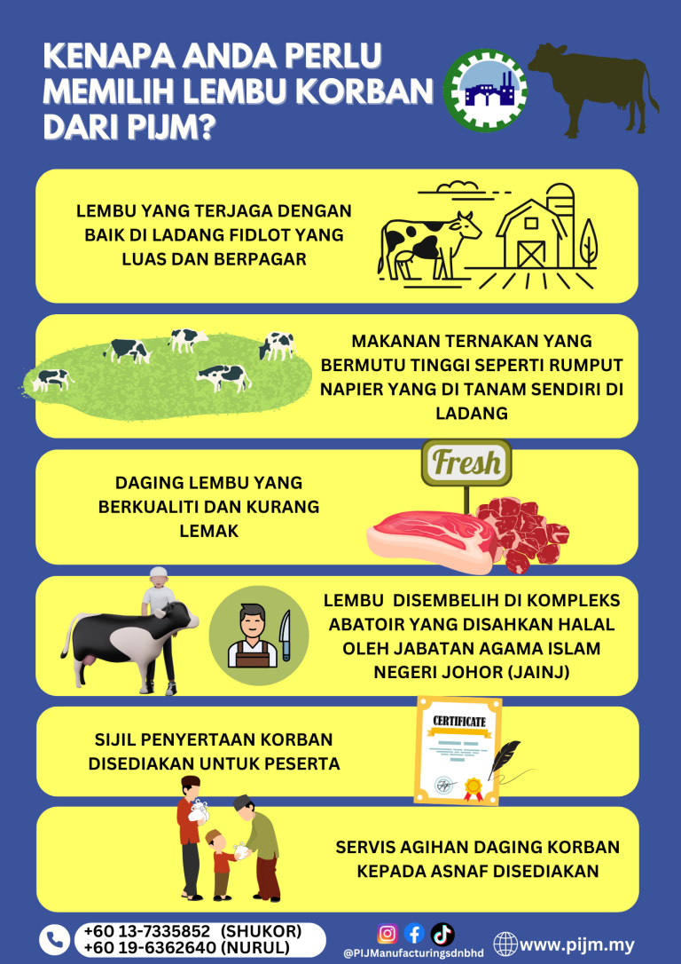 promosiori2